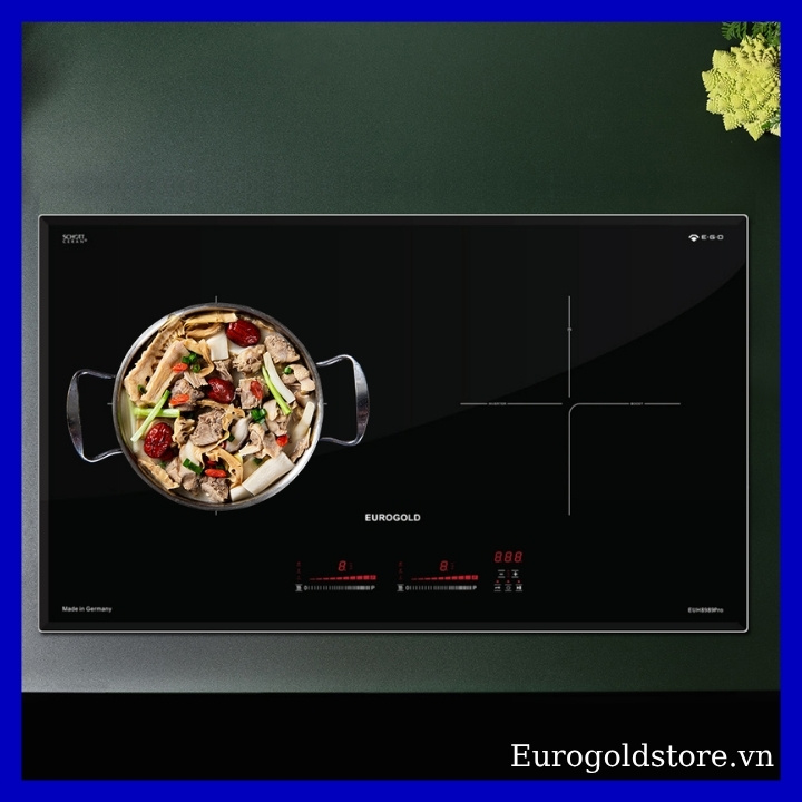 Bếp Từ 2 Vùng Nấu CHLB Đức Eurogold EUH8989Pro Bếp Từ 2 Vùng Nấu CHLB Đức Eurogold EUH8989Pro