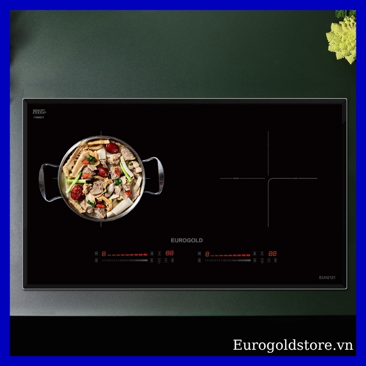 Bếp Từ 2 Vùng Nấu Mặt Kính SchottCeran Eurogold EUH2121 Bếp Từ 2 Vùng Nấu Mặt Kính SchottCeran Eurogold EUH2121