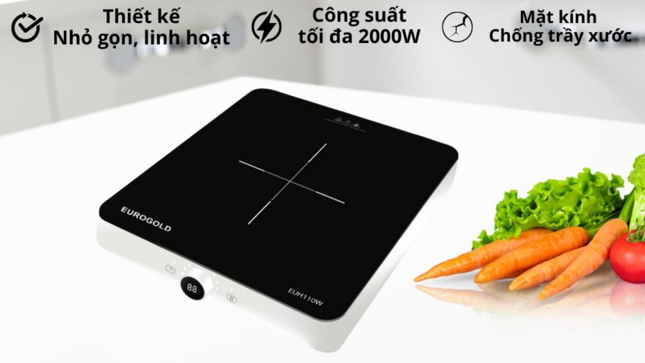 Bếp từ 1 vùng nấu Eurogold