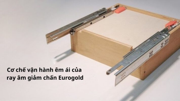 Ray Âm Giảm Chấn Eurogold Hoạt Động Như Thế Nào?