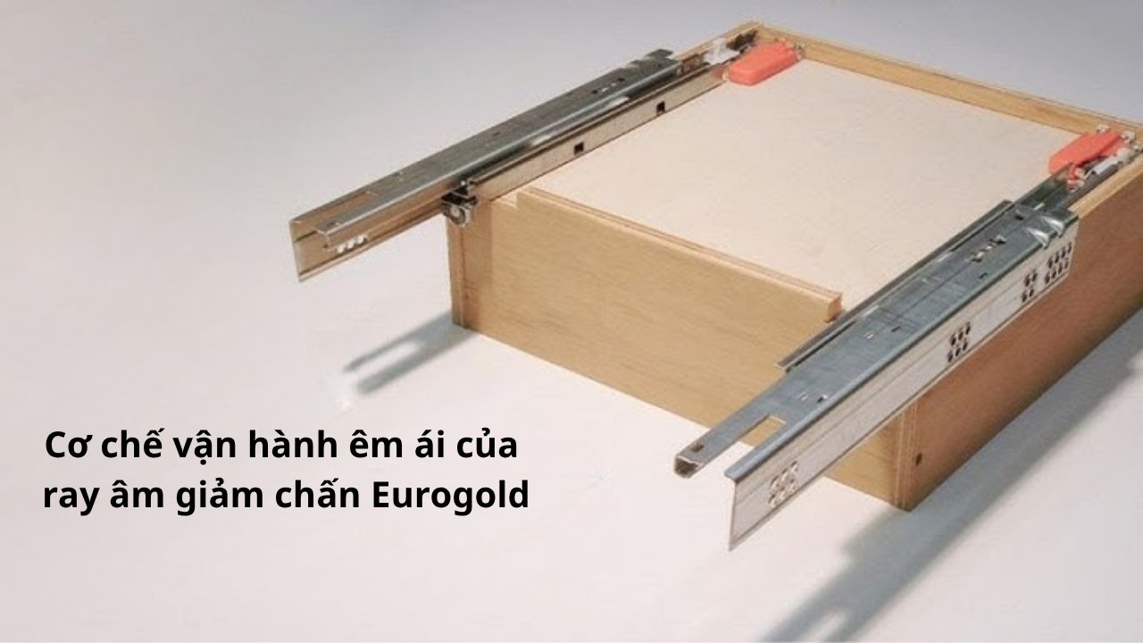 Ray Âm Giảm Chấn Eurogold Hoạt Động Như Thế Nào?